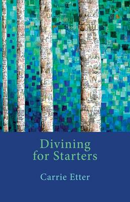 Divining for Starters (Paperback)