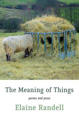 The Meaning of Things (Paperback)