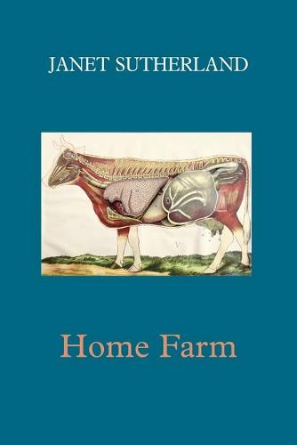 Home Farm (Paperback)