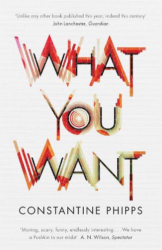 What You Want (Paperback)
