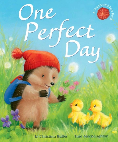 One Perfect Day - Little Hedgehog 11 (Paperback)