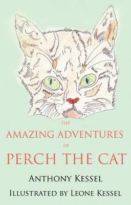 The Amazing Adventures of Perch the Cat (Paperback)