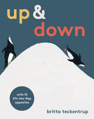 Up and Down (Hardback)