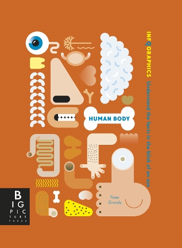 Infographics: Human Body - Infographics (Paperback)