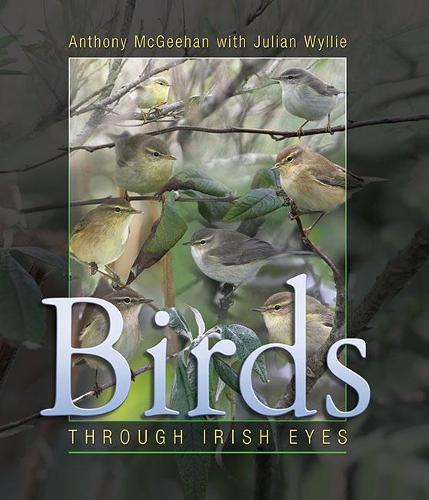 Birds: Through Irish Eyes (Hardback)