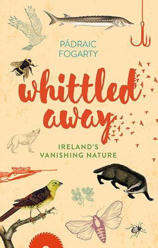Whittled Away (Hardback)