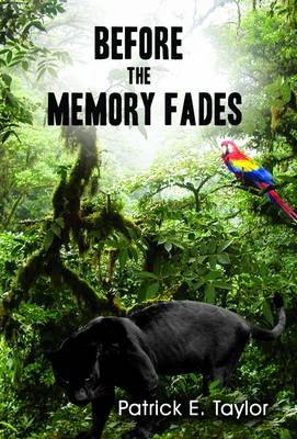 Before the Memory Fades (Paperback)