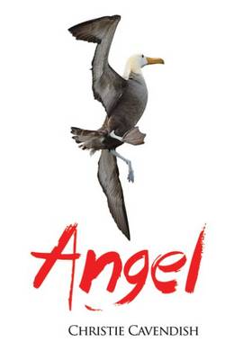 Angel (Paperback)