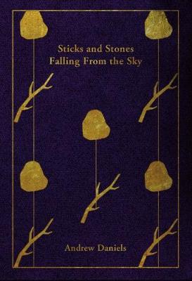 Sticks and Stones Falling From the Sky (Paperback)