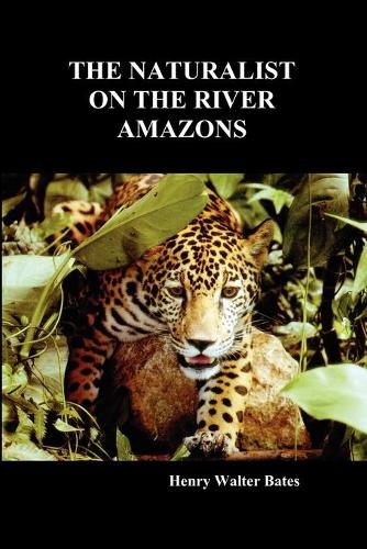 The Naturalist on the River Amazons: A Record of Adventures, Habits of Animals, Sketches of Brazilian and Indian Life, and Aspects of Nature Under the Equator, During Eleven Years of Travel (Paperback)