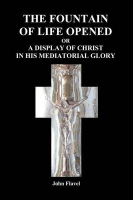 The Fountain Of Life Opened (Paperback) (Paperback)