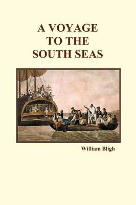 A Voyage to the South Seas (Paperback) (Paperback)