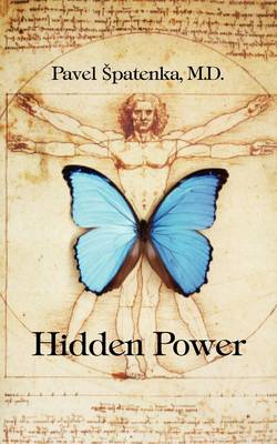 Hidden Power: The Mastery Of Emotional Openness (Paperback)
