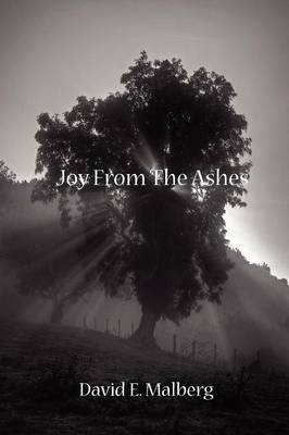 Joy From The Ashes (Paperback)