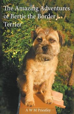 The Amazing Adventures of Bertie the Border Terrier (Paperback)