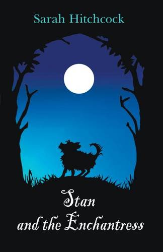 Stan and the Enchantress (Paperback)