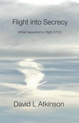 Flight Into Secrecy (What Happened to Flight 370?) (Paperback)