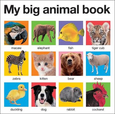 My Big Animal Book By Roger Priddy Waterstones