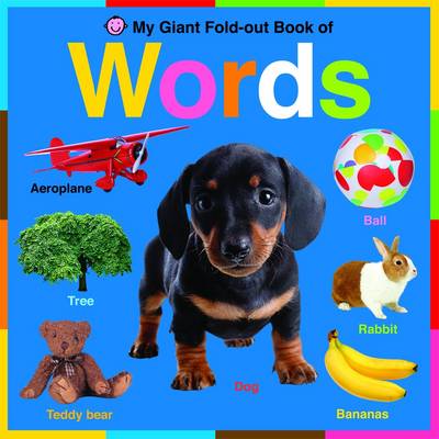 Words: Wipe Clean Activity Flashcards - Wipe Clean Activity Flashcards (Board book)