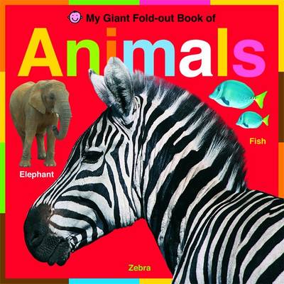 Animals: Wipe Clean Activity Flashcards - Wipe Clean Activity Flashcards (Board book)