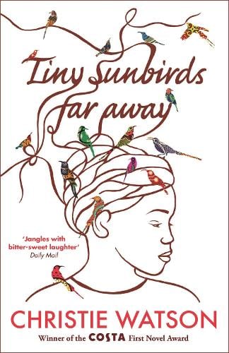 Tiny Sunbirds Far Away (Paperback)