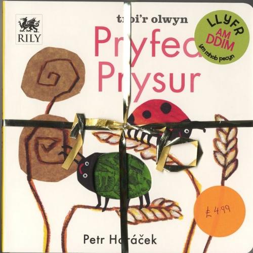 Pecyn Nos Da a Pryfed Prysur (Hardback)