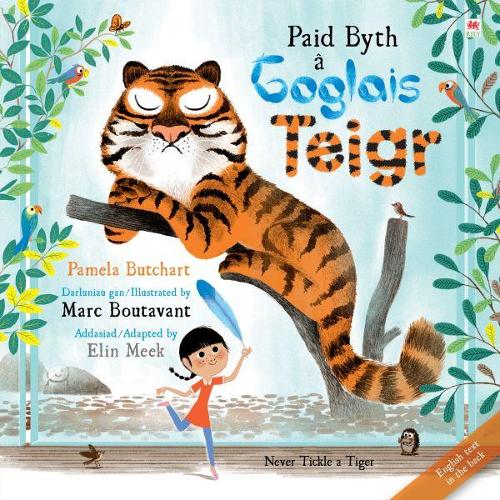 Paid Byth a Goglais Teigr/Never Tickle a Tiger (Paperback)