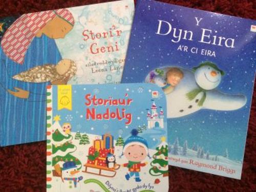 Pecyn Storau'r Nadolig (Hardback)