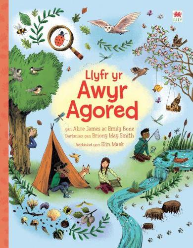 Llyfr yr Awyr Agored (Paperback)