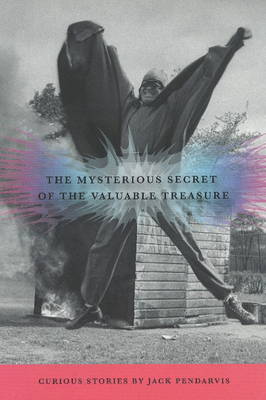 The Mysterious Secret of the Valuable Treasure (Hardback)
