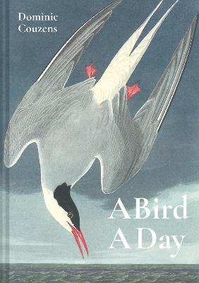 A Bird A Day (Hardback)