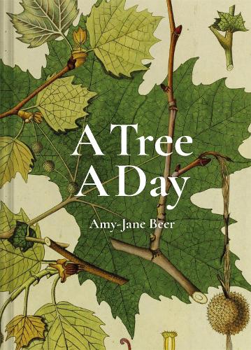 A Tree A Day - A Day (Hardback)