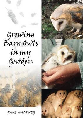 Growing Barn Owls in my Garden (Paperback)