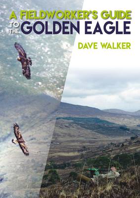 A Fieldworker's Guide to the Golden Eagle (Paperback)
