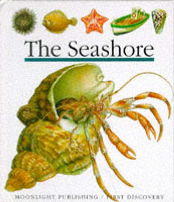 The Seashore - First Discovery Series No. 15 (Hardback)
