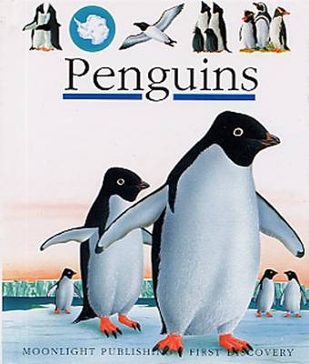 Penguins - First Discovery Series (Hardback)