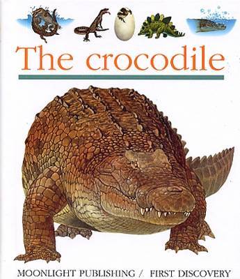 Crocodile - First Discovery Series (Hardback)