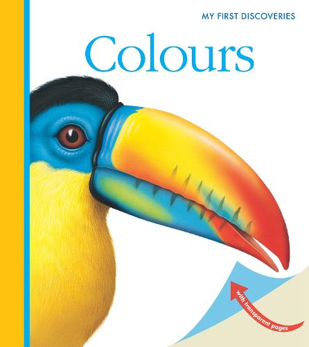 Colours - My First Discoveries (Hardback)