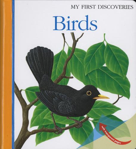 Birds - My First Discoveries (Spiral bound)