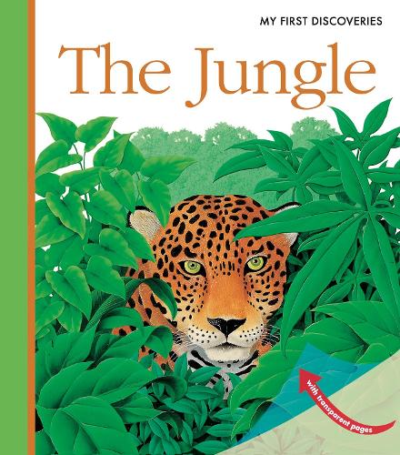 The Jungle - My First Discoveries (Spiral bound)