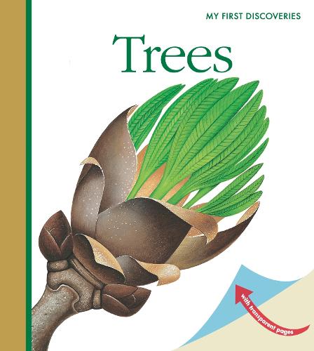 Trees - My First Discoveries (Spiral bound)