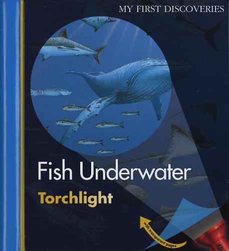 Fish Underwater - My First Discoveries/Torchlight (Spiral bound)