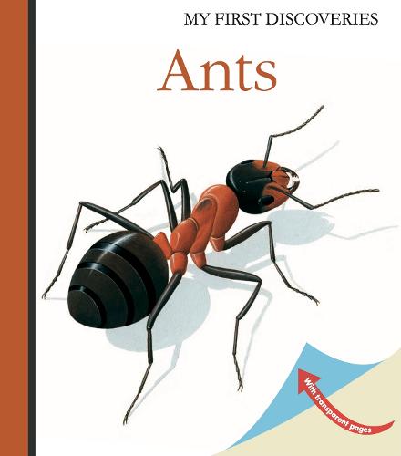 Ants - My First Discoveries (Hardback)