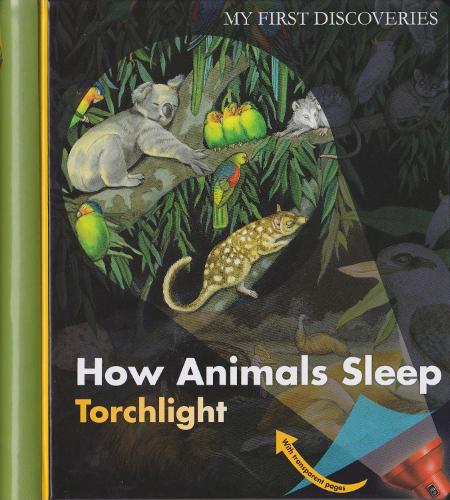 How Animals Sleep - My First Discoveries/Torchlight (Hardback)