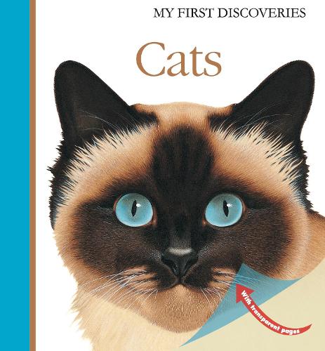 Cats - My First Discoveries (Hardback)