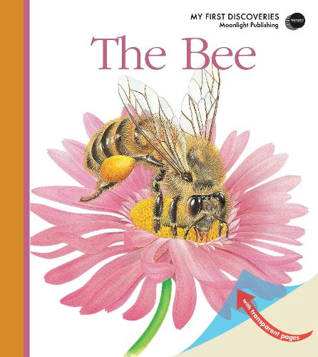 The Bee - My First Discoveries (Spiral bound)