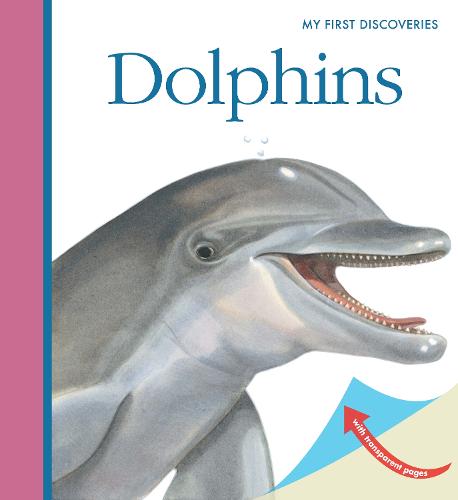 Dolphins - My First Discoveries (Spiral bound)