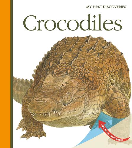 Crocodiles - My First Discoveries (Spiral bound)