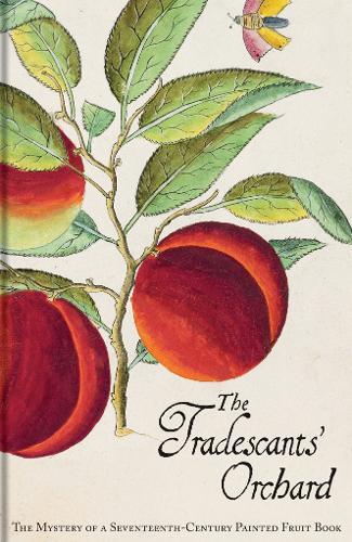 The Tradescants' Orchard: The Mystery of a Seventeenth-Century Painted Fruit Book (Hardback)
