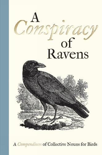 A Conspiracy of Ravens: A Compendium of Collective Nouns for Birds (Hardback)